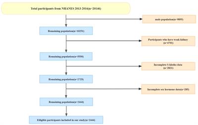 The association between testosterone and serum soluble klotho in the females: evidence from the NHANES database